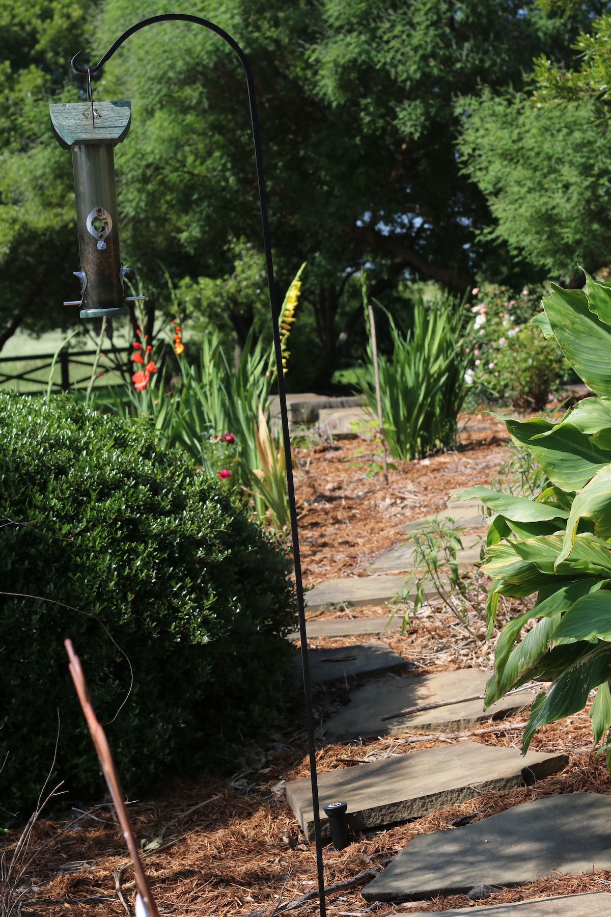 Garden path