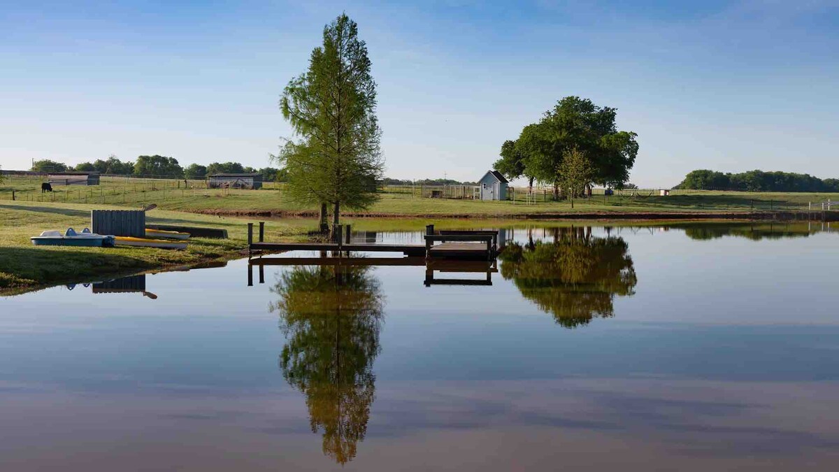 Pond reflections