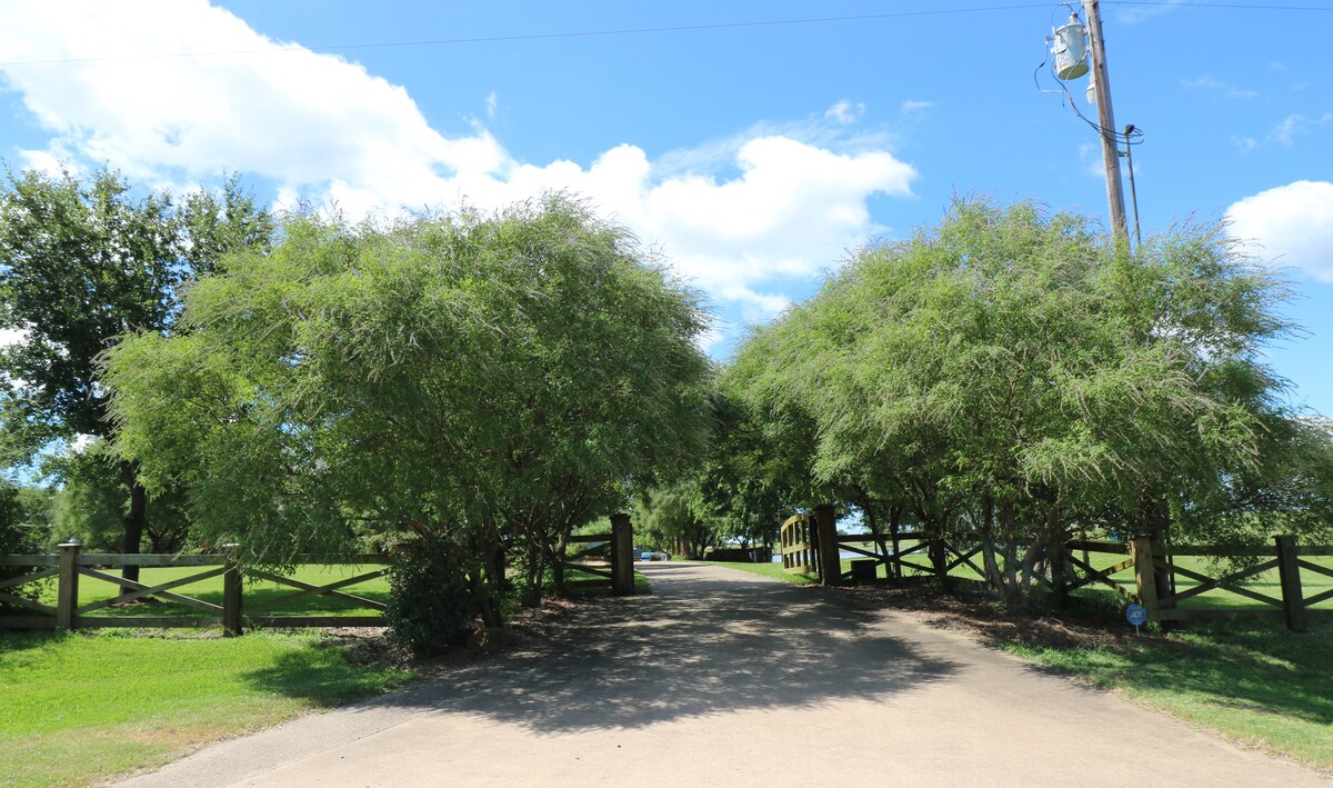 Tree-lined drive