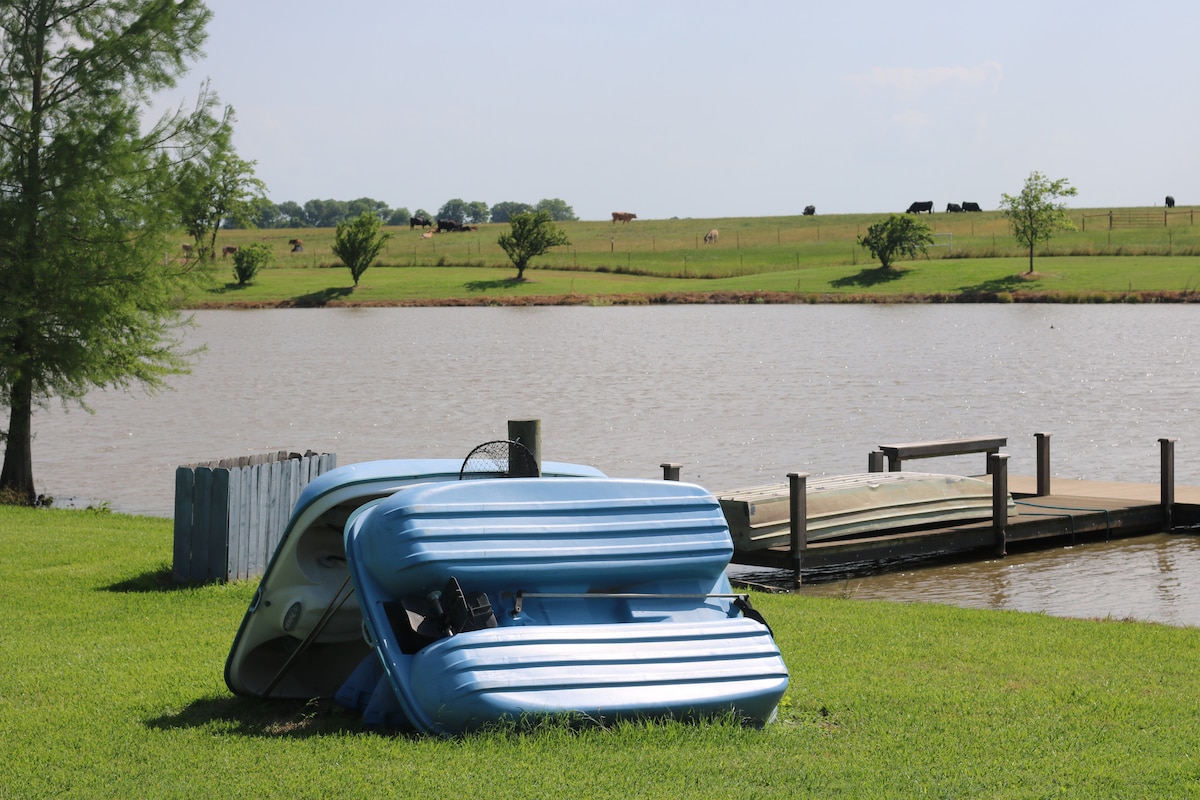 Paddle boat & dock