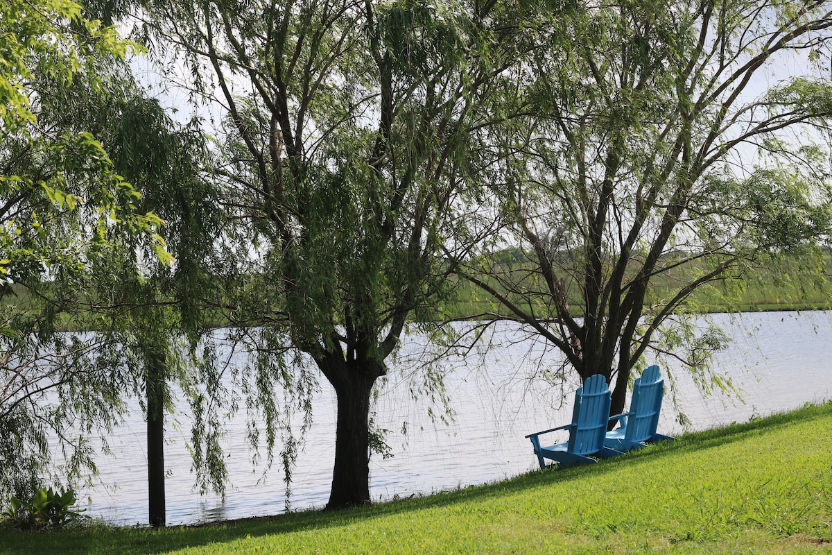 Willows by the water