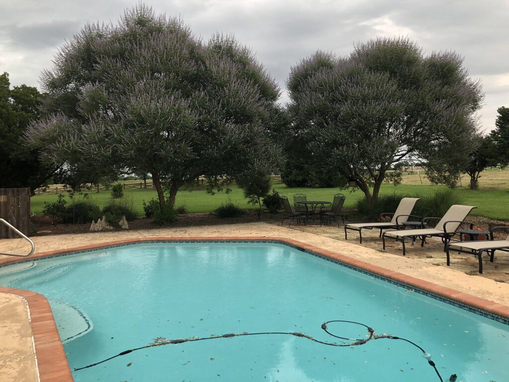 Poolside